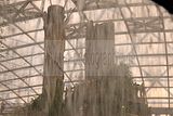 leipzig zoo-01_07_2011_gondwanaland_148
